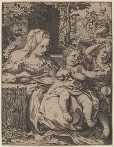 燕子圣母 作者 Annibale Carracci