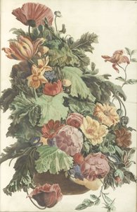 花盆里的花和叶子 作者 约翰·泰勒