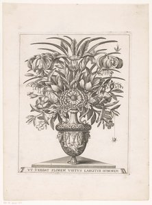 狮头花瓶中的鲜花
UT VERDAT FLOREM VIRTUS LARGITUR HONOREM（物品上的标题） 作者 雅各布斯·肯彭纳