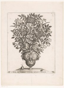 花瓶中的花与面具
O FLOS SIC VERNANS IUVENILI AETATE PUDOREM（物体上的标题） 作者 雅各布斯·肯彭纳