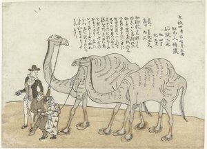 骆驼和单峰驼 作者 无名氏