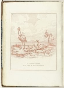 高级、低级和中级阶级委员会, 1795 年
高级、低级和中级阶级委员会（物上标题）
再生的荷兰》（意大利语版本）（丛书名称）
荷兰的再生：所有再生民族的镜子（丛书标题 作者 詹姆斯·吉尔雷（可能）