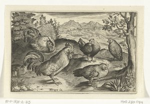三只鸡和两只公鸡 鸟类和昆虫（系列名称） 作者 尼古拉斯·德·布鲁因