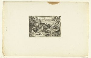 三只母鸡和两只公鸡
Volatilium varii generis（......）（系列标题） 作者 尼古拉斯·德·布鲁因
