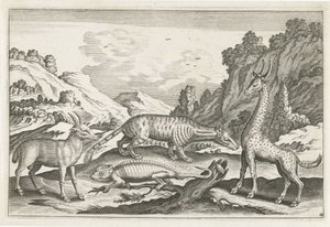 外来动物
四脚动物（系列名称）
动物 Qvaddrvpedvm（系列名称） 作者 Nicolaes Visscher (I) (归属于)