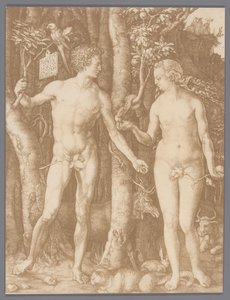 阿尔布雷希特·丢勒 (Albrecht Dürer) 雕刻的《亚当和夏娃》的照片复制品 作者 无名氏