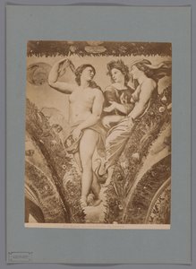 罗马法尔内西纳别墅 "Loggia di Psiche "壁画 "爱神与赛琪 "的摄影再现
罗马。爱神与赛琪法尔内西纳（物体上的标题） 作者 无名氏