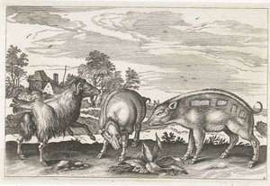 山羊和野猪 四足动物（系列名称） Animalivm Qvaddrvpedvm（系列标题） 作者 Nicolaes Visscher (I) (归属于)