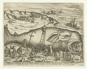 伯克希搁浅的鲸鱼，1598 年
Warhafftigh und Wunderbarlich Monster oder Pottfisch in der gestalt eines Wallfishes, aus dem Möer sich versandet hatt zwischen Catwyck und Schevelingen als Wyter in der Relation ercleret am 4. 作者 无名氏