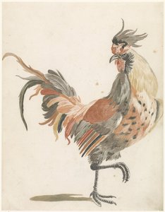 公鸡向右走（B 版） 作者 约翰·泰勒