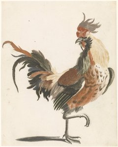 公鸡向右走（A版） 作者 约翰·泰勒