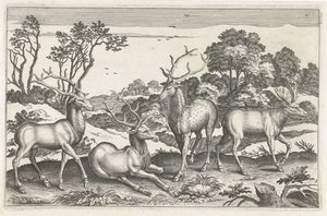 鹤腾
Vierpotige dieren（系列名称）
Animalivm Qvaddrvpedvm（系列名称） 作者 阿德里亚恩·科拉特
