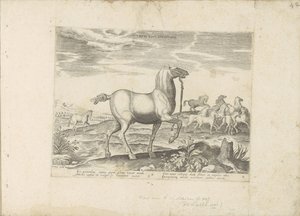 野马群
Liberi Equi Cursitatio（物品上的标题）
奥地利唐璜皇家马厩中的马种（系列标题）
Equile, in quo omnis generis generosissi: morum equorum ex varijs orbis partibus insignis delectus (...) (se 作者 Hendrick Goltzius（拒绝归属）