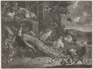 家禽景观 作者 Melchior d'Hondecoeter