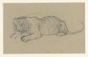 卧虎撕下一块肉 作者 Antoine Louis Barye（拒绝归属）