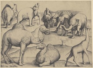 橄榄树、长颈鹿和一只长颈鹿
Tabula III animalium ex vetustissimis picturis Romae tractorum（物上标题）
Speculum Romanae Magnificentiae（系列标题） 作者 安东尼奥·拉弗里里（Antonio Lafreri）