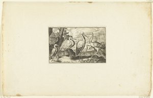 两只鸟之间的鹳
Volatilium varii generis（......）（系列名称） 作者 克拉斯·扬斯。维舍尔 (II)