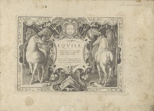 标题装饰图案，两侧有马
Equile, in quo omnis generis generosissi: morum equorum ex varijs orbis partibus insignis delectus（......）（物体上的系列标题） 作者 阿德里亚恩·科拉特