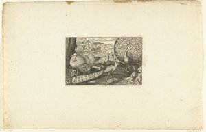 展示孔雀、步行孔雀和火鸡
Volatilium varii generis（......）（系列名称） 作者 克拉斯·扬斯。维舍尔 (II)