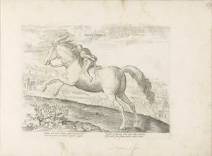赛马与骑手
Equus Maurus（物品上的标题）
奥地利唐璜皇家马厩中的马种（系列标题）
Equile, in quo omnis generis generosissi: morum equorum ex varijs orbis partibus insignis delectus (...) （系列标题 作者 Hendrick Goltzius（拒绝归属）