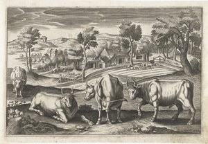 呐喊
Vierpotige dieren（系列名称）
Animalivm Qvaddrvpedvm（系列名称） 作者 阿德里亚恩·科拉特