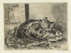 睡觉的猫 作者 无名氏