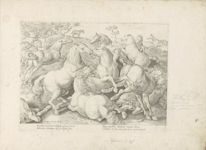 Vechtende paarden
Equile, in quo omnis generis generosissi: morum equorum ex varijs orbis partibus insignis delectus (...) (系列标题，关于对象) 作者 无名氏