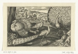 包括琵鹭在内的五种鸟类
鸟类和昆虫（系列名称） 作者 克拉斯·扬斯。维舍尔 (II)