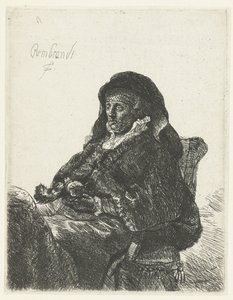 戴黑手套的寡妇
伦勃朗的寡母 作者 伦勃朗·范·莱恩 (Rembrandt van Rijn)