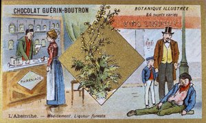 苦艾酒：药物和致命的利口酒。 雕刻（彩色）。 Guerin-Boutron 巧克力的广告色版印刷，19 世纪后期。 Illustree 植物系列。 作者 匿名匿名