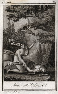 阿多尼斯之死。1819年的雕版画，载于查尔斯-阿尔伯特-德穆斯特（1760-1801）的 "Lettres a Emilie sur la mythologie"。私人收藏。 作者 匿名匿名