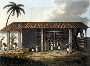 Brazil, sugar factory - in “” The Old and Modern Costume”” 1819 - 1820 by Dr. Jules Ferrario, ed Milan. 作者 匿名匿名