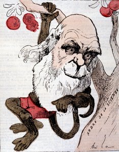 查尔斯-罗伯特-达尔文（1809 - 1882）在 "La Lune "中的漫画。 作者 匿名匿名