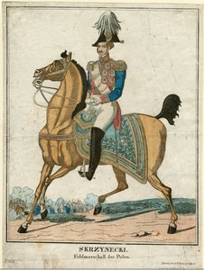 Jan Zygmunt Skrzynecki（1787-1860 年） 波兰将军 作者 匿名匿名