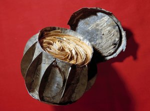 Les Boules de Moulins：1870年巴黎被围困时使用的锌球，用于传送巴黎人无法再接收的邮件。它们被扔进塞纳河，被居民们捡回。 作者 匿名匿名