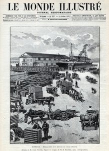海上贸易：从埃及运来的鹌鹑在马赛港的叫声。一份报纸。1892年的 "Le monde illustrstree "中的版画。私人收藏。 作者 匿名匿名