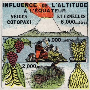 气象学：海拔高度对气候的影响。1925年的匿名插图。私人收藏。 作者 匿名匿名