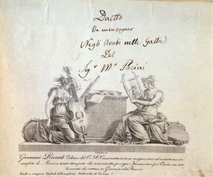 G Pacini的歌剧《Gli arabi delle gallie》中的一页 作者 匿名匿名