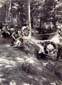 Photograph from a personal album of an infantry lieutenant during the first months of the First World War (1st, Iere 作者 匿名匿名