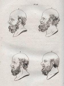 Physiognomy - Physiognomony - Several heads of the Greek philosopher Socrates (ca. 469 BC-399 BC) (Bust of Socrates (ca 469 BC-399 BC), Athenian philosopher) engraving of 1808 in “The art of knowing men through physiognomy” by Johann Gaspar (Gaspard) Lavat 作者 匿名匿名