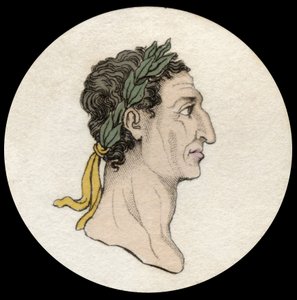 Portrait of Emperor Nerva (Marcus Cocceius Nerva) (26-98 AD). Engraving of the 19th century. Milanese 作者 匿名匿名
