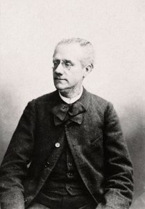 路易-尤金-普伊莱（1835-1905）的肖像 律师，Privee收藏品 作者 匿名匿名