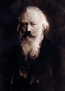 英国作曲家约翰内斯·勃拉姆斯 (1833-1897) 的肖像画。 19 世纪。 私人收藏 作者 匿名匿名