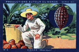 世界各地的生产：墨西哥的可可。 1933 年“约瑟夫-米利亚特专辑”中的色谱法 作者 匿名匿名