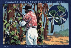 世界各地的制作。西印度群岛的香草。1933年在 "Joseph-Milliat专辑 "中的彩色石版画 作者 匿名匿名