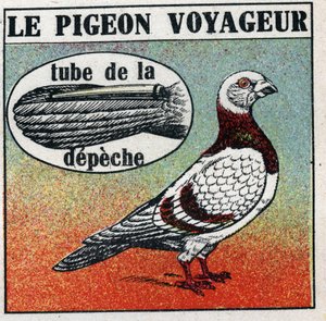 The Post Office: The Traveller Pigeon. Anonymous illustration from 1925. Private collection. 作者 匿名匿名