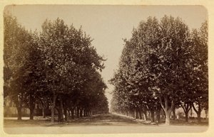 1885-1890年左右的马赛市及其周边地区：普拉多博物馆，私人收藏 作者 匿名匿名