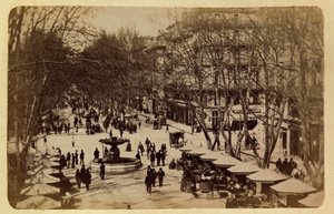 马赛市及其周边地区，大约在1885-1890年。鲜花大道，圣路易课程，私人收藏 作者 匿名匿名