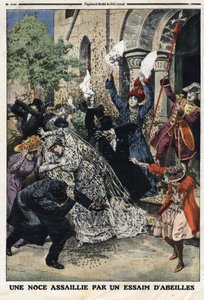 婚礼受到一群蜜蜂的攻击。1912年7月28日，《小报》上的雕刻。私人收藏。 作者 匿名匿名