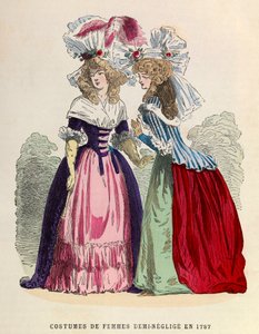 女装半身裙 - 1787 年的睡衣 - 私人收藏 作者 匿名匿名
